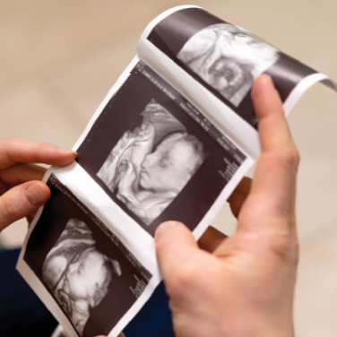 Introduction to Fellowship in Fetal Medicine